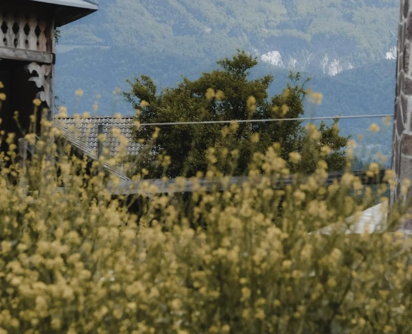 Blue Alpine Nest Komenda 0*,